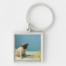 Recherche de photo de carlin porteclés Regarder l'appareil photo