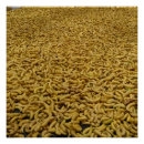 Recherche de banana posters Banane