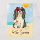 Recherche de cavaliers cartes postales Voyage