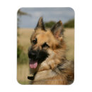 Recherche de deutscher magnets Headshot