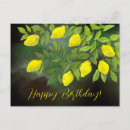 Recherche de jaune citron cartes postales Citronnier