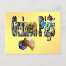 Recherche de cochons cartes postales Cobaye