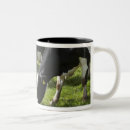 Recherche de vache laitière tasses Position