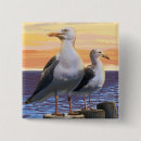 Recherche de mouette badges Côte