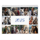 Recherche de chevaux de deux calendriers 2025