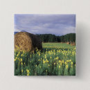 Recherche de rural badges Personne