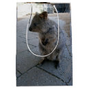 Recherche de amical photographie Faune