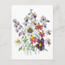 Recherche de velours cartes postales Pour elle