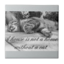 Recherche de chat tigré chat carreaux Noir