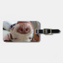 Recherche de pitbull de chien bagages étiquettes Mignon