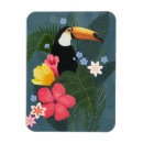Recherche de oiseau exotique magnets Oiseaux tropicaux