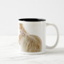 Zoek naar nieuwsgierige kat mokken Humor