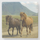 Zoek naar ijsland onderzetters Paard