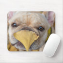 Recherche de french bulldog mousepads Canine