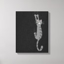 Recherche de chat rayé gris Tabby