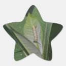 Recherche de monarchs autocollants Insecte