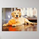 Zoek naar golden retriever puppy posters Gele rekwisiet