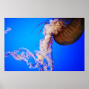 Zoek naar kwalen posters Water