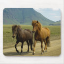 Recherche de trotteur tapis souris Poney