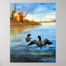 Recherche de loon posters Wildlife
