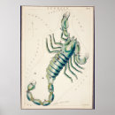 Recherche de scorpio constellation posters Zodiaque