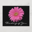 Recherche de penser cartes postales Fleurs