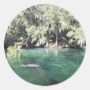 Recherche de lamérique autocollants Faune