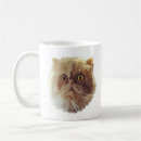 Recherche de persan tasses Orange