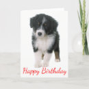 Recherche de australienne berger anniversaire cartes Chiot