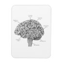 Recherche de cerveau magnets Psychologie