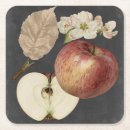 Recherche de nourriture dessous de verres Fruit
