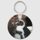 Recherche de manchot porteclés Animal