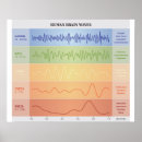Recherche de gamma Cerveau