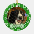 Recherche de chiots mignons ornements Dogs