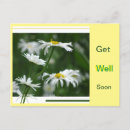 Recherche de marguerites vœux cartes Pour tous