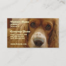 Recherche de chien de cocker cartes visite Chiens