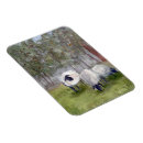 Recherche de de moutons refrigérateur magnets Pour tous