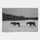 Recherche de équin photographie Neige