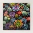 Recherche de succulent puzzles Coloré