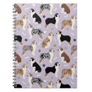 Recherche de berger australien carnets Chien