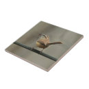 Recherche de frottement carreaux Faune