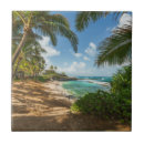 Recherche de hawaï carreaux Tropical