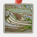Recherche de indigène ornements Paysage
