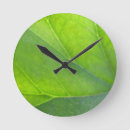 Recherche de veines horloges Botanique