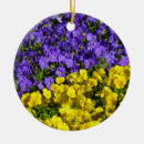 Zoek naar gele bloemen ornamenten Fotografie