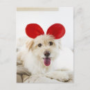 Recherche de jouet cartes postales Animal