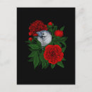 Recherche de impression florale vintage cartes postales Botanique