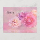 Recherche de oeillet cartes postales Rose