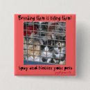 Recherche de de animaux badges Chats