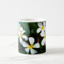 Recherche de fleurit tasses Fleurs